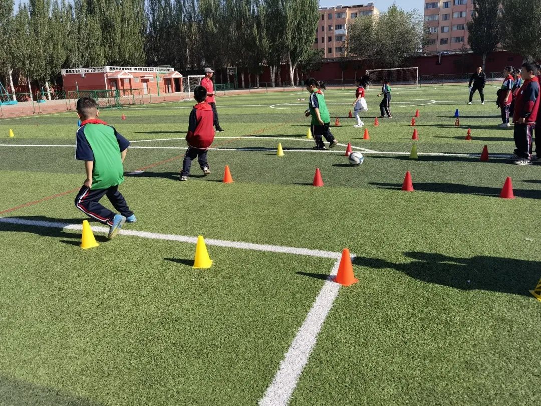 骨干教师示范引领个人工作总结,省市区优秀教师示范引领