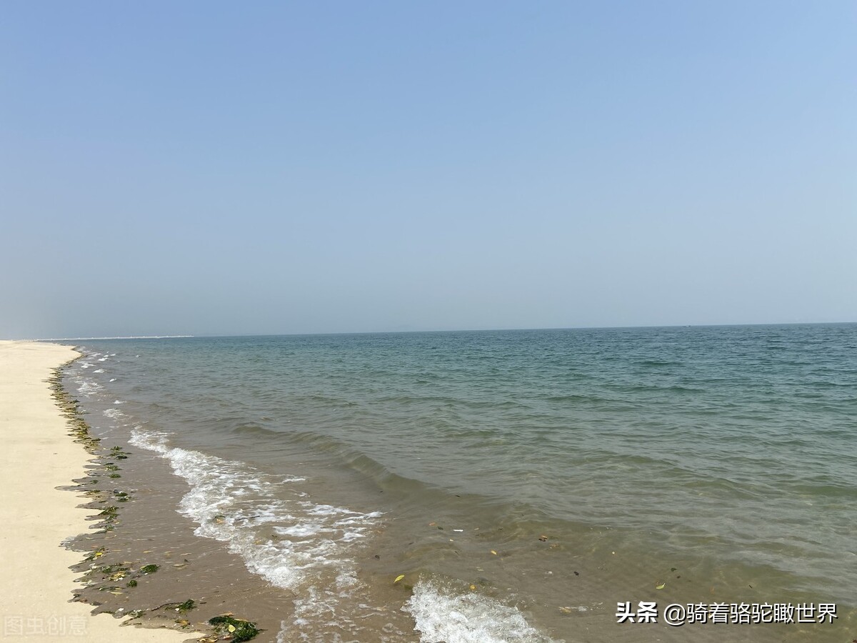 厦门彩虹沙滩哪一段赶海最好,黄金海岸赶海拾贝最佳地点