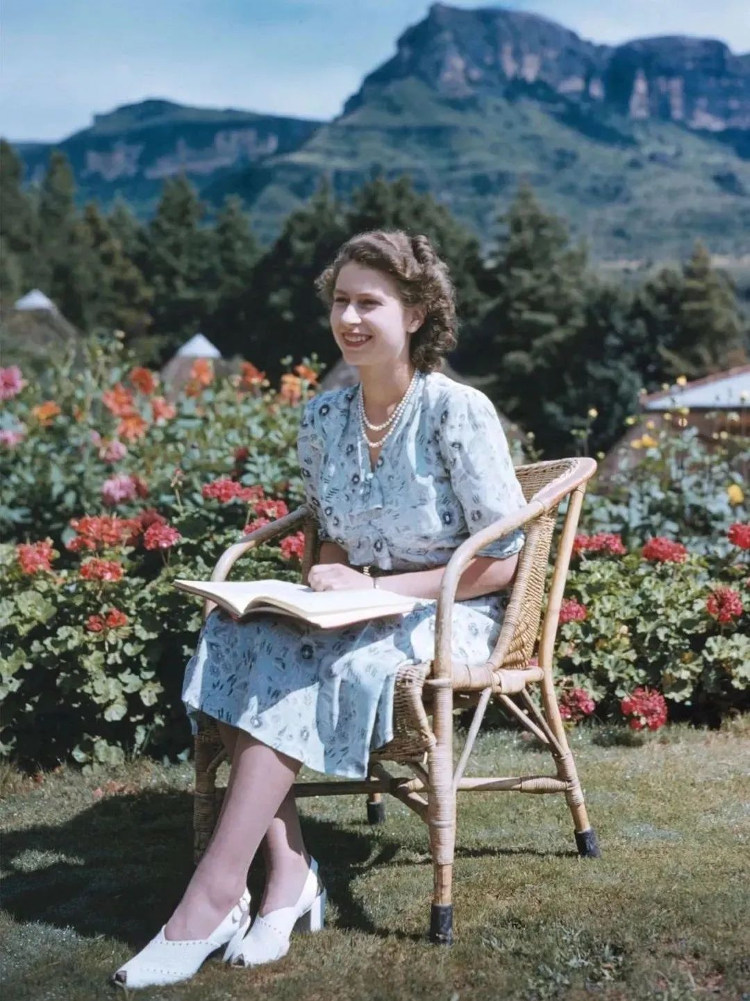 2022年,我就当白活了