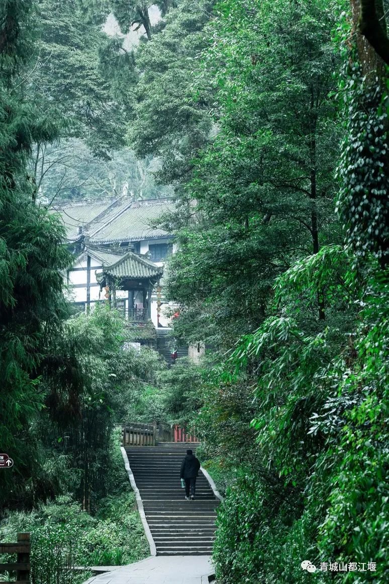 好评率99%！这个深得“特种兵”们青睐的小镇，深山觅静寺、秘境探幽意，私藏了整个夏日的色彩～