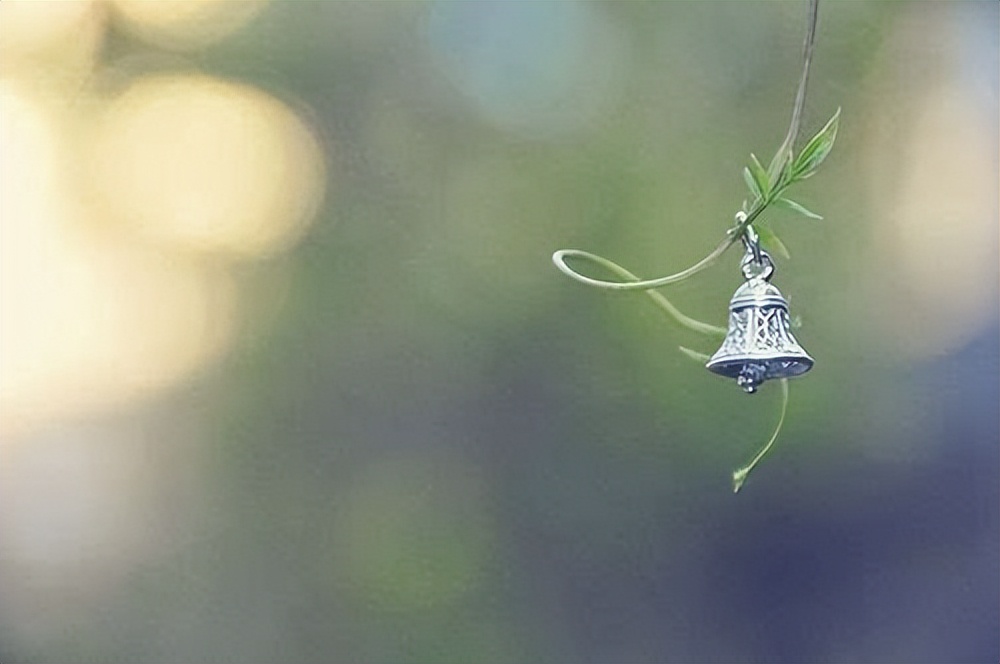 中国风的凉拖,带标志的特步凉拖