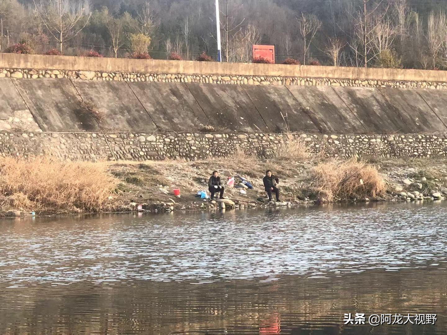 野钓：小河道巧夺大板鲫和黄骨鱼！分析得当，渔获自然少不了