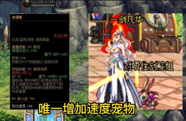 dnf稀有宠物,dnf最容易获得的宠物