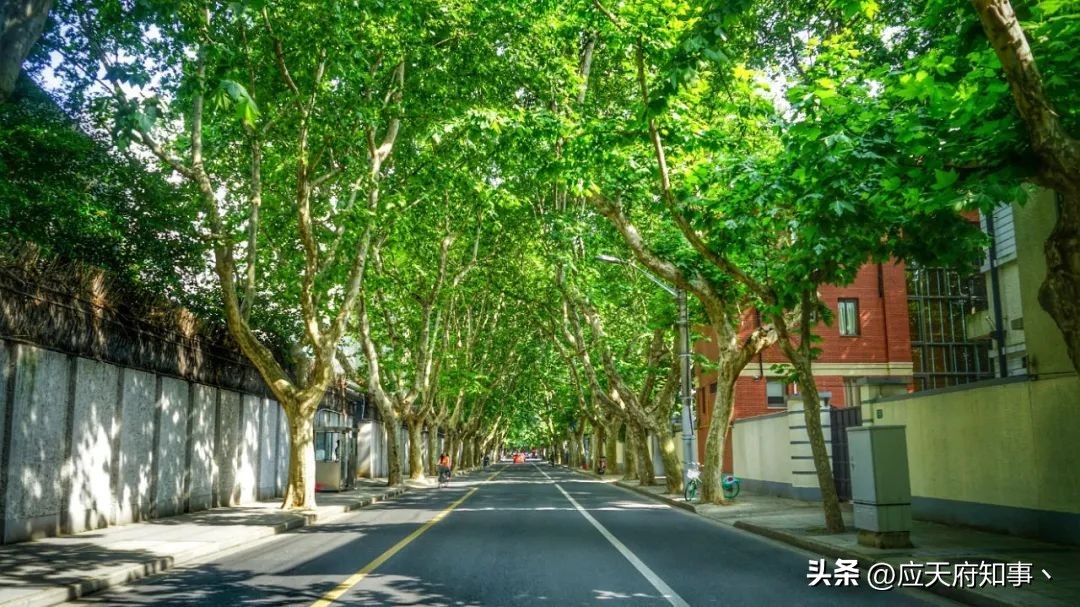 南京皮研所是干嘛的,南京皮研所为什么这么牛