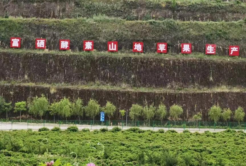 富硒种植技术,富硒养殖技术大全
