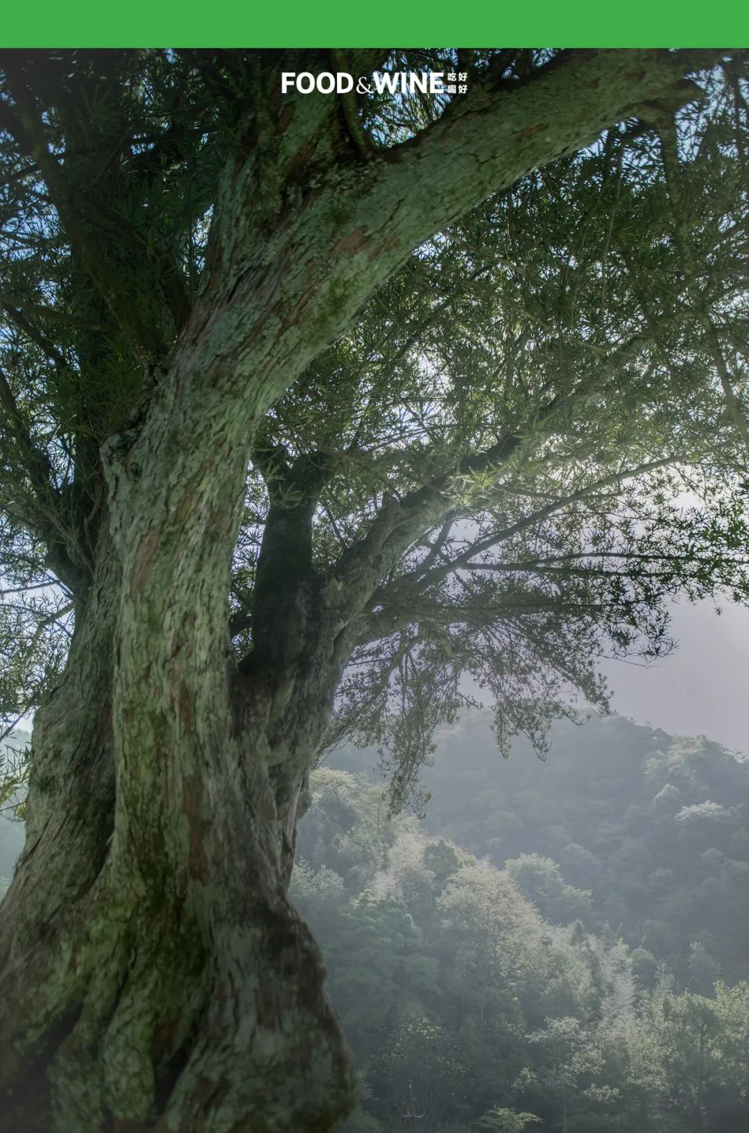 涓囧绂呭鏂嬮キ,鏅痉闀囧搴欏悆鏂嬮キ