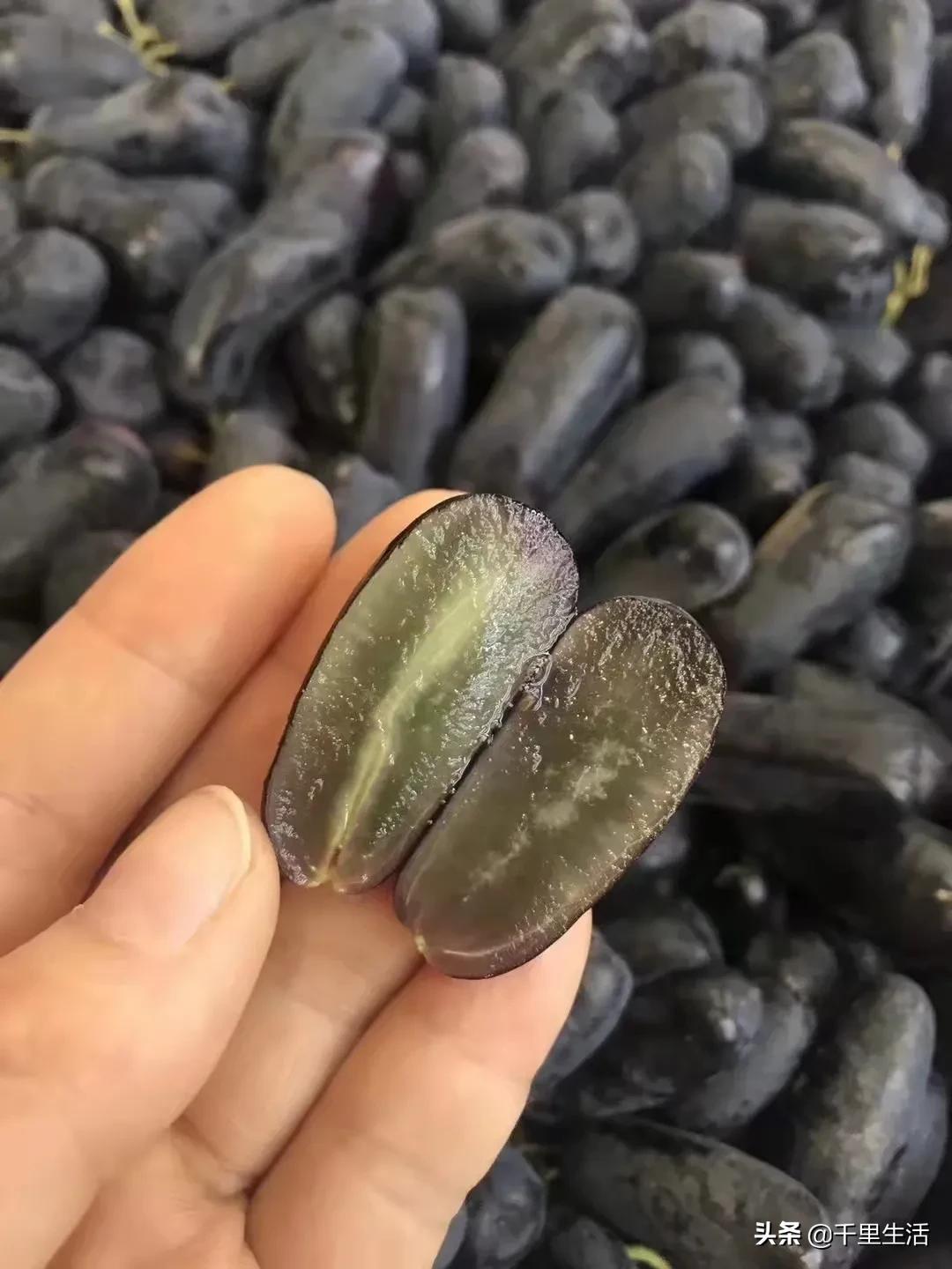 金手指葡萄提子,金手指蓝宝石葡萄无籽提子