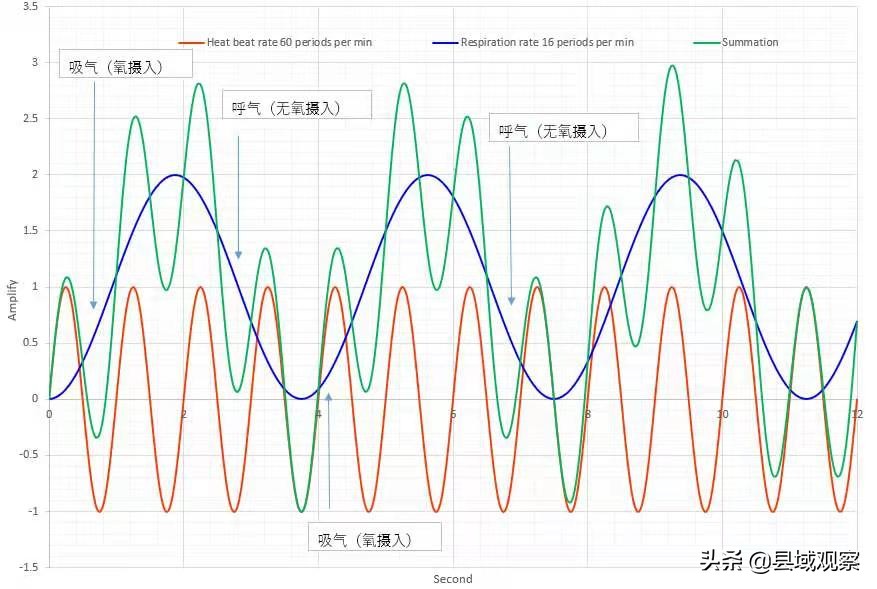 生命守护者人民的健康卫士,生命健康的守护者