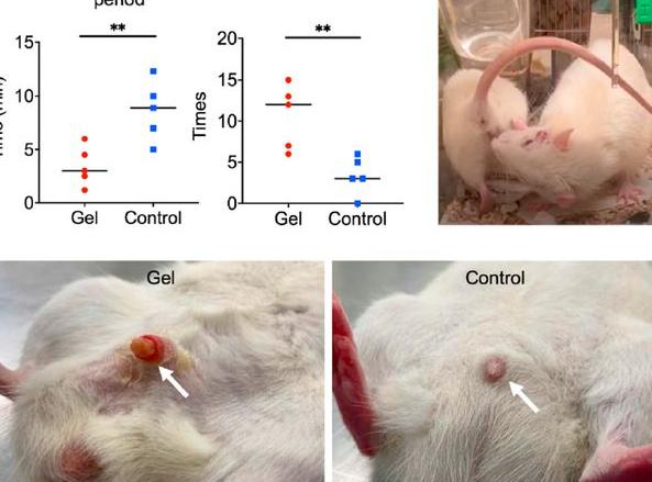 男性长效避孕药有什么好处与坏处,科学家研发男用避孕药