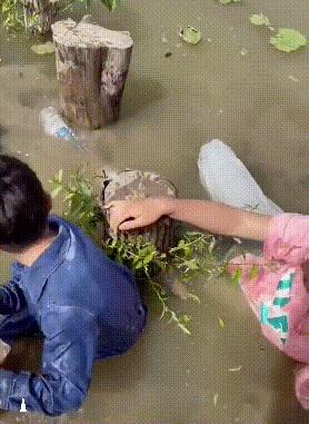 上课衣服穿反怎么办,上课忘记穿裤子该怎么办