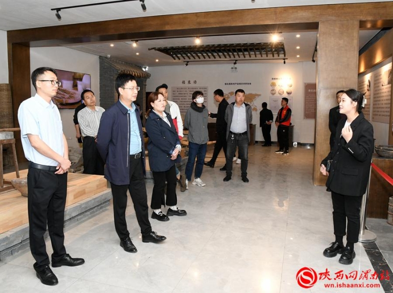 2023年5月11日新闻中的渭南事（组图）