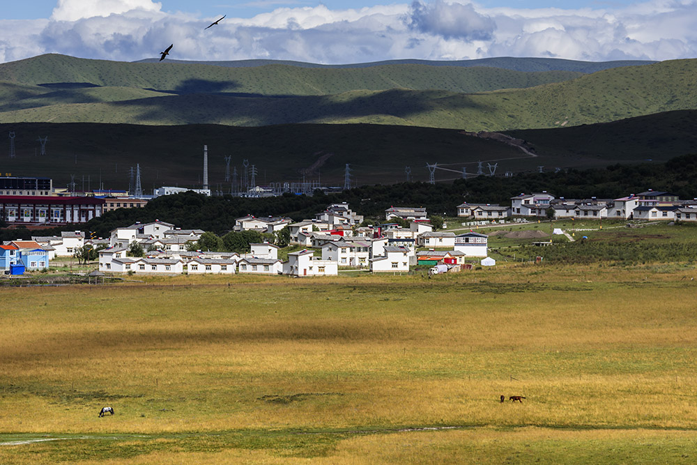 西部大草原旅游攻略,四川红原大草原自驾旅游攻略