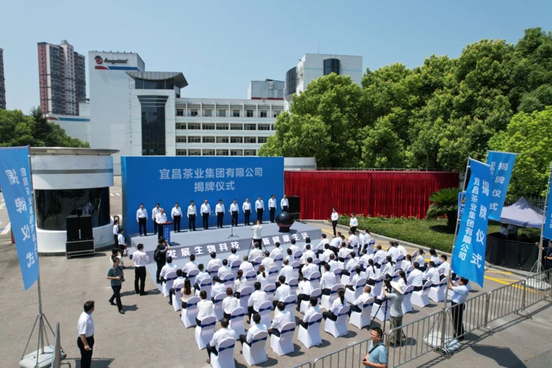 湖北有打算建造航母吗,中国自己造的航母未来规划