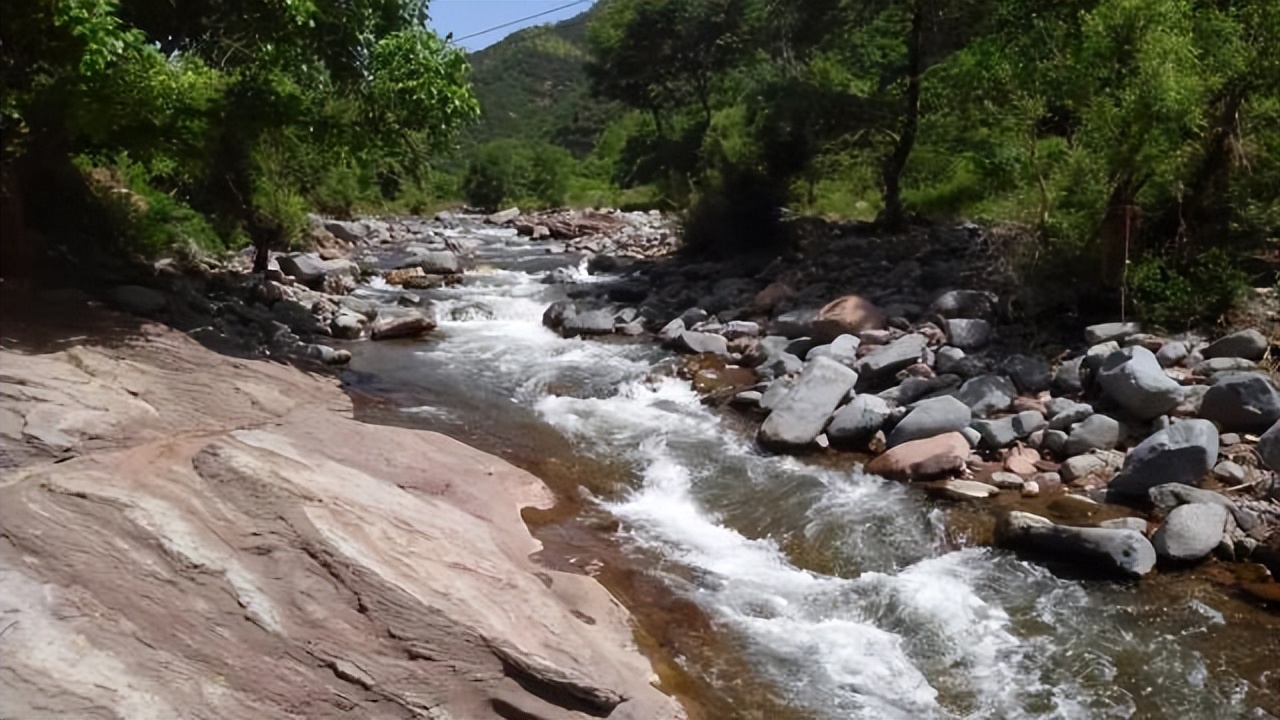 秦岭细鳞鲑是不是白条鱼,秦岭大量细鳞鲑逆流而上
