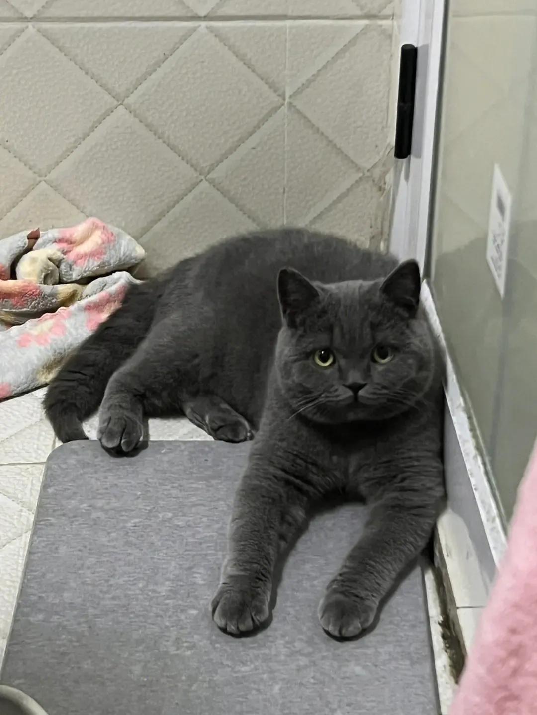 成为自由职业者四个月了，真的值得吗