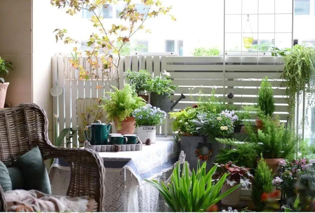 露天小阳台打造小花园效果图,卧室开放式小阳台怎么打造花园