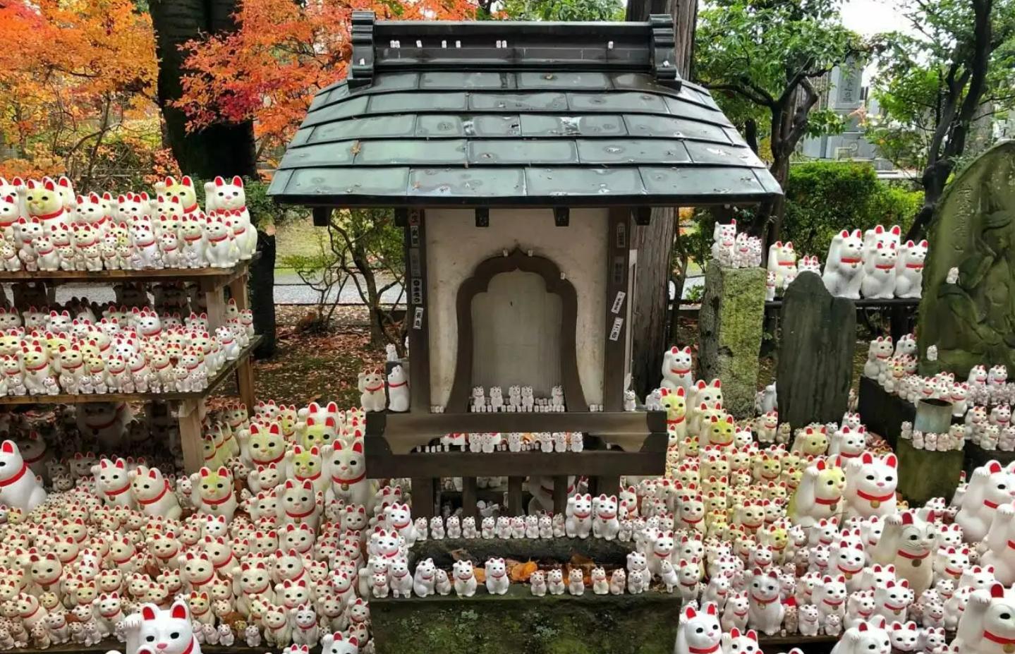 招财猫来源于中国,中国的招财猫是什么