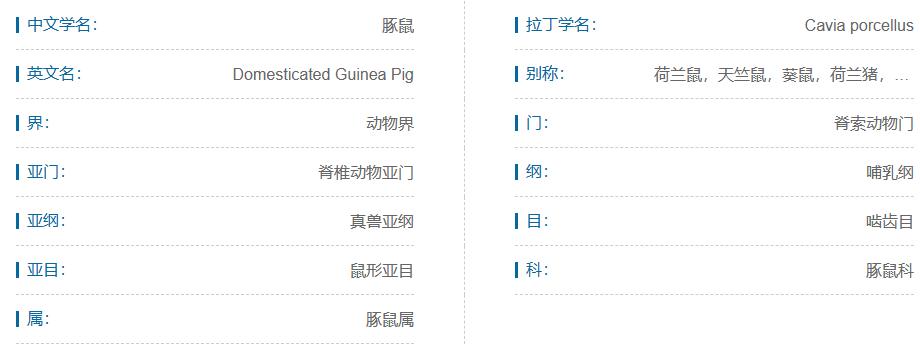 什么宠物对纯素食者最好,好养且可以食用的宠物有哪些