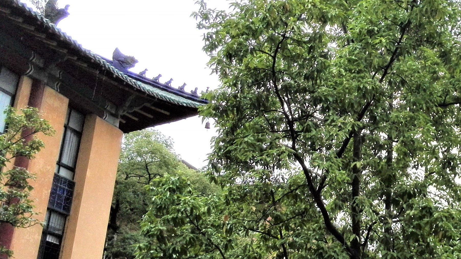 华南第一中山大学,中山大学广东人眼中的清华