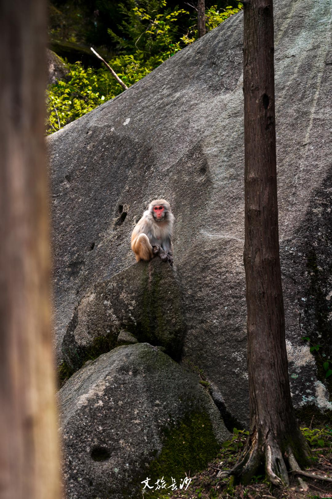 娴忛槼鐑熻姳鏃呰,鏄熷煄鏃呮父鏀荤暐