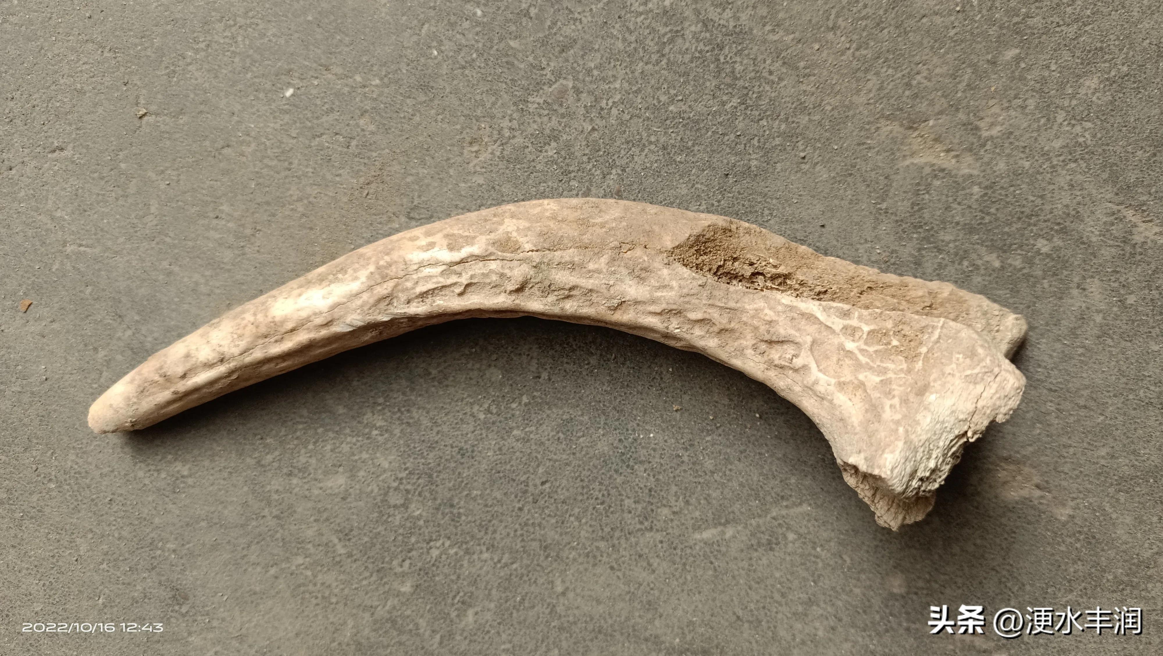 唐山的史前遗址,唐山制陶历史文化