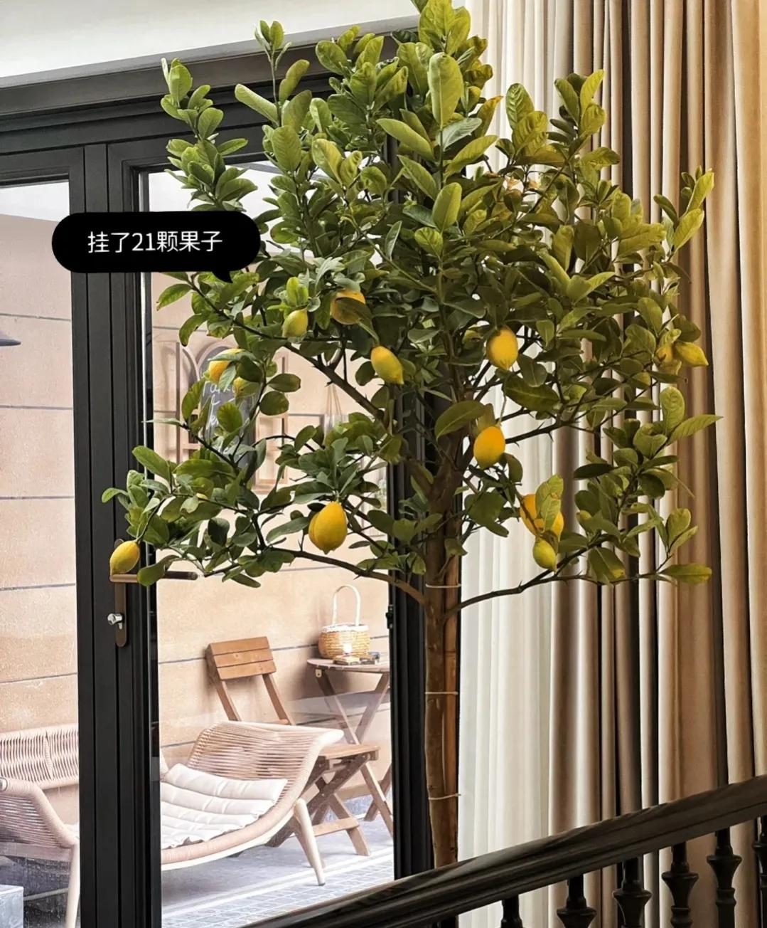 35宀佸皬濮愬鎶よ偆淇濆吇,35宀佸皬濮愬鏃ュ父鎶よ偆