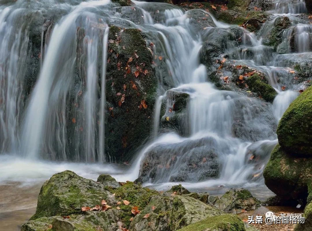 茶圣陆羽最喜欢的茶,茶圣陆羽对信阳毛尖的评价