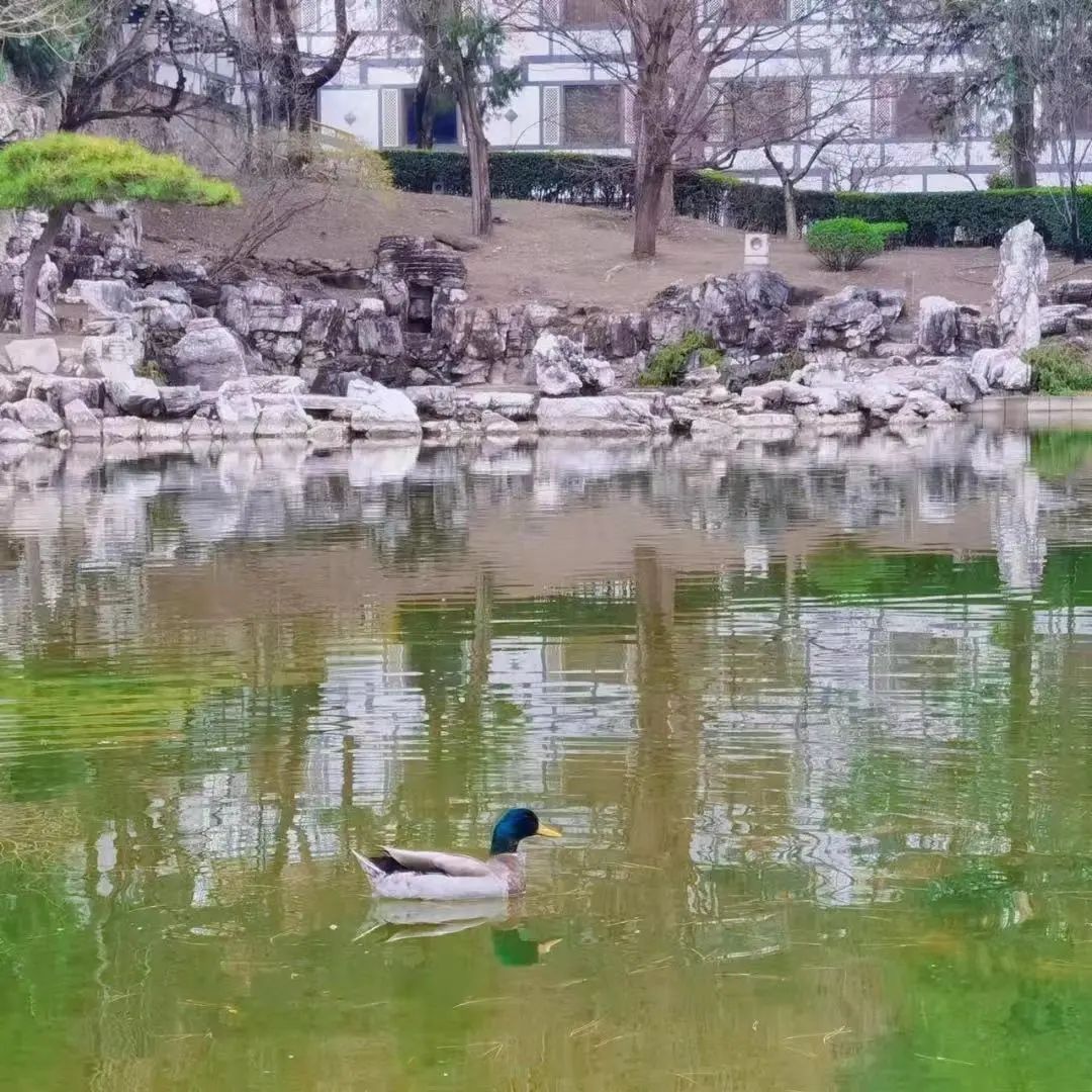 清明小长假去哪儿最全旅游攻略,清明10条精品旅游线路