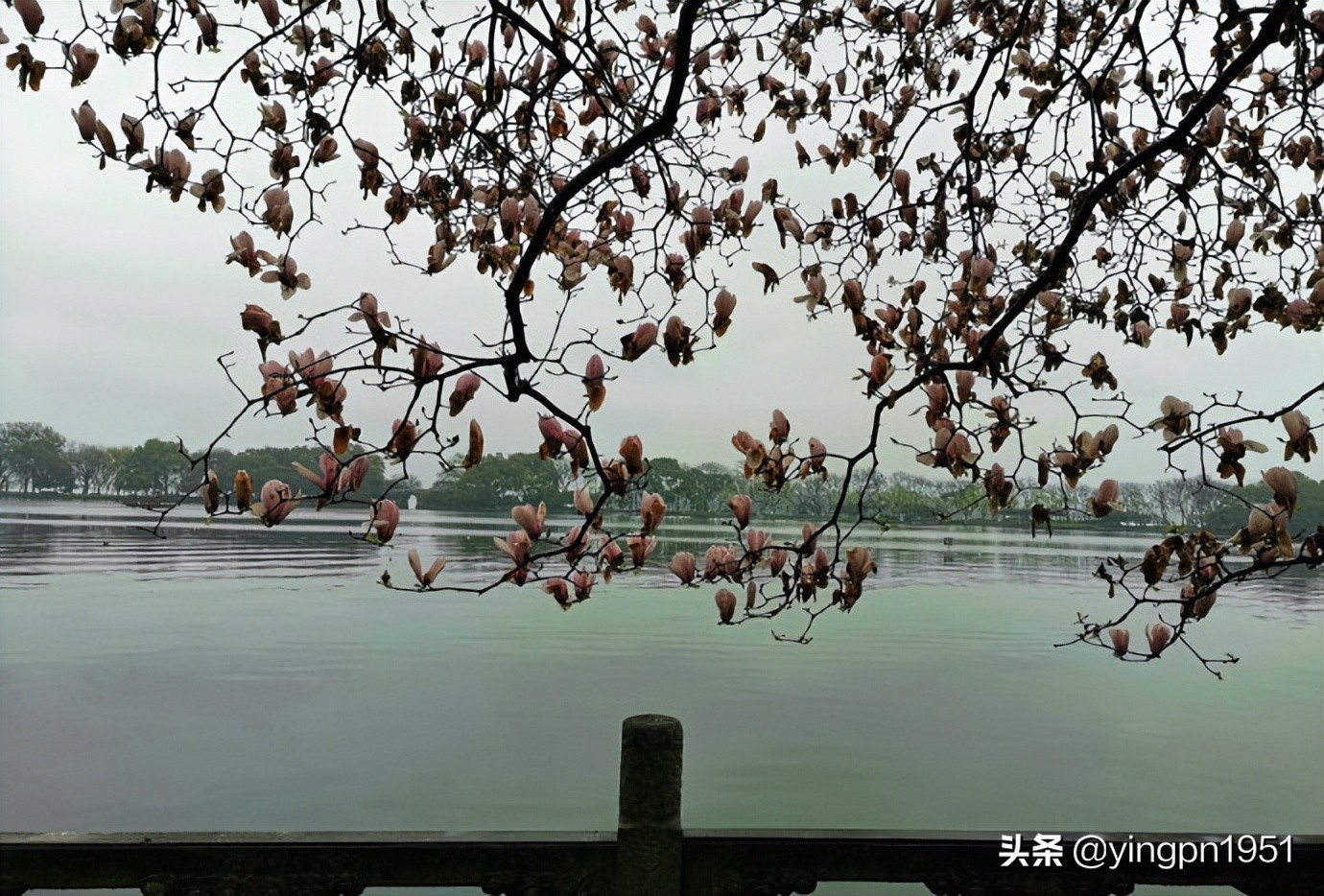 杭州西湖国宾馆房价一览表,杭州西湖国宾馆