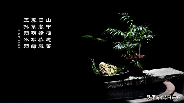 我和照相机的故事,柯达ec200相机