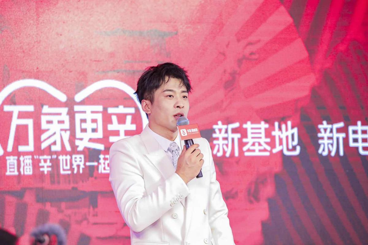 辛巴自己做电商平台,辛巴背后的电商的酸甜苦辣