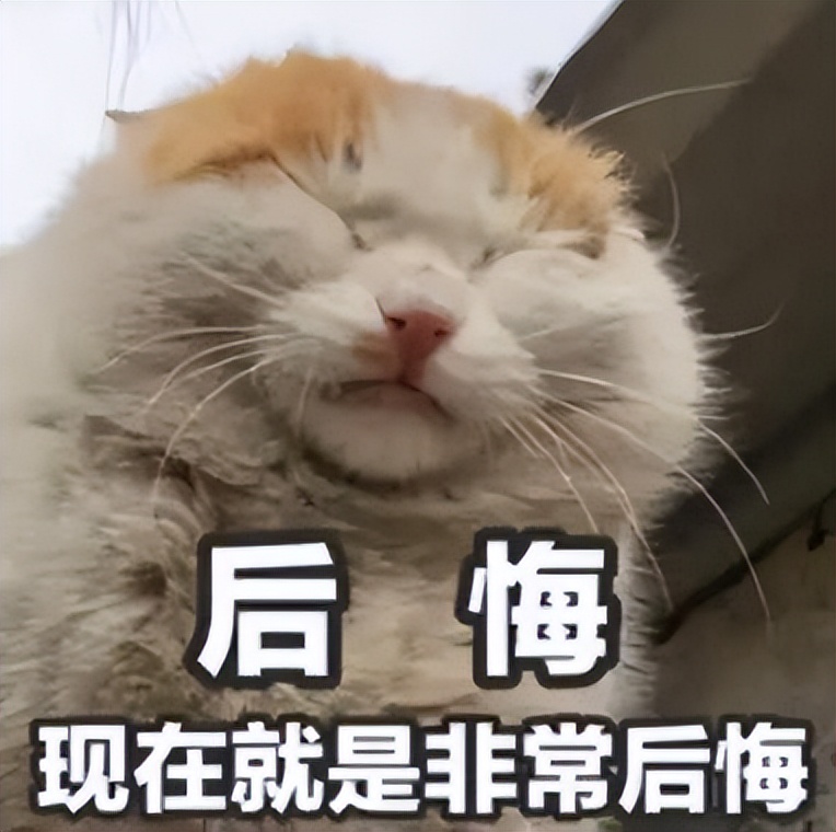 撞坏一个前灯多少钱,撞坏一个车灯赔多少钱