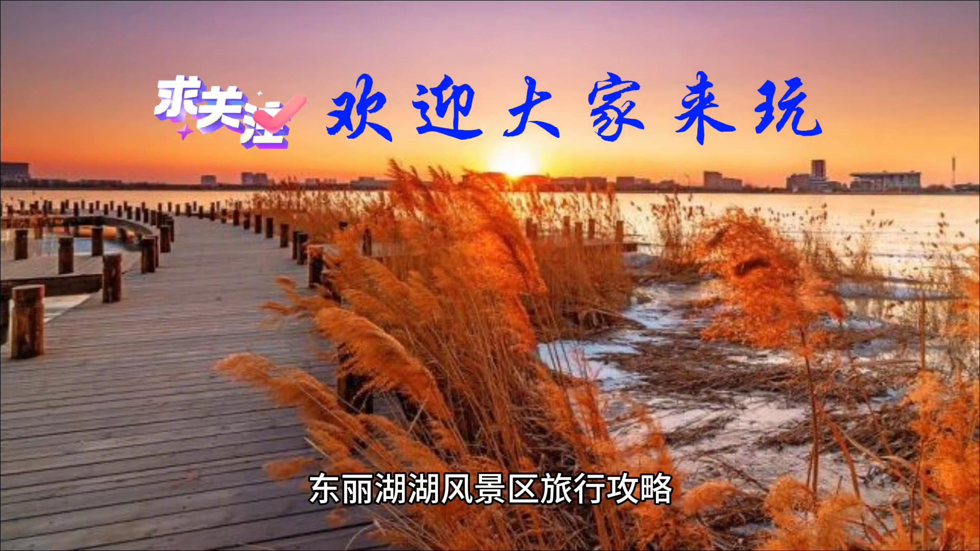 东丽湖最近新消息,东丽湖风景区