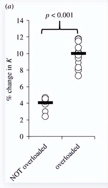 感应器鞋垫,鞋垫薄膜压力传感器