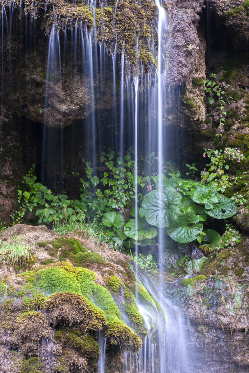 郭进拴重庆品火锅,郭进拴平湖春歌