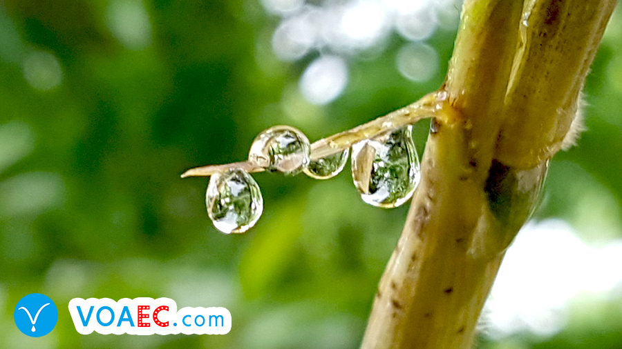 清明节不仅仅只是一个节日,清明节不是早过了吗