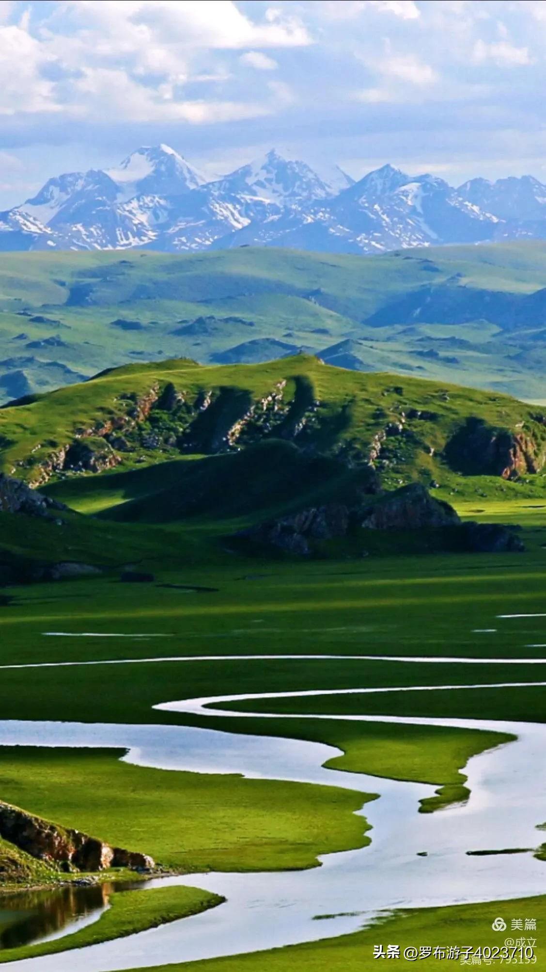 伊力大老窖和小老窖,泸州老窖和伊力老窖