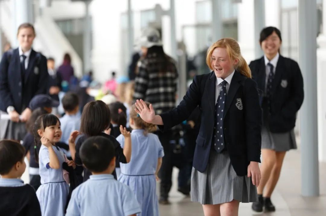 和香港人结婚在哪领结婚证,找中介跟香港人结婚犯法吗