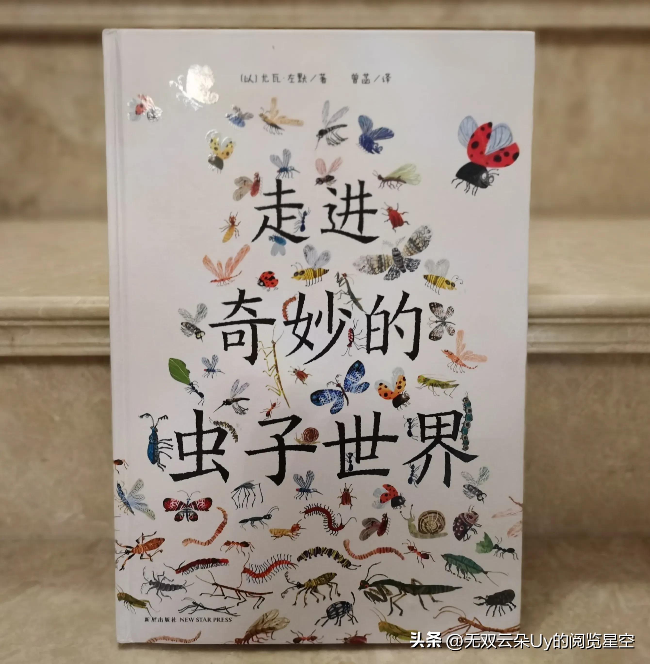 【绘本阅读⑦】虫虫！！！别怕，都躲进书里啦！找到它！