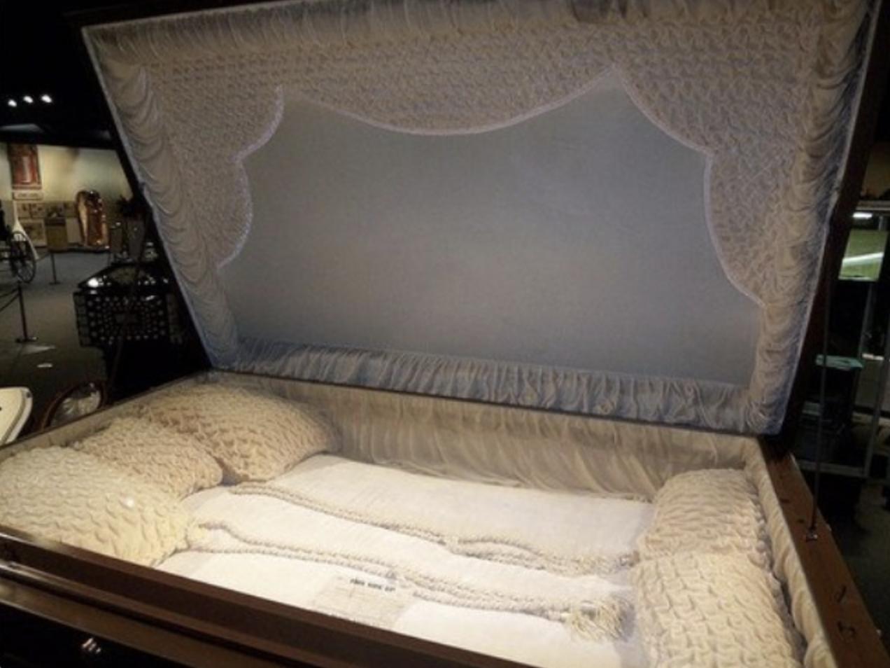 青蛙吞食毒蜘蛛,青蛙吃蜘蛛会不会被毒死