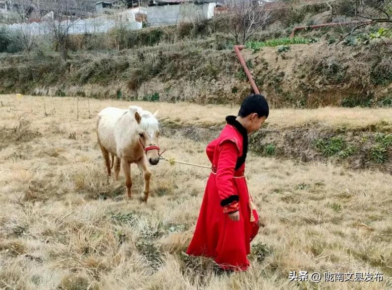 五一想去玩哪也没去,文县旅游一日游