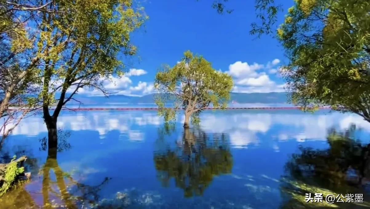 大理的冬天,大理的冬天依然美丽