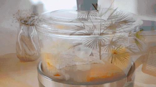 家庭小厨房用什么锅好,买一个厨房用的锅子