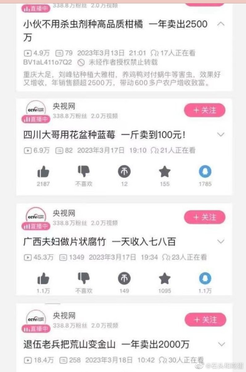 钱真有那么好赚?为什么在央视的报道里,人人都是年薪100万