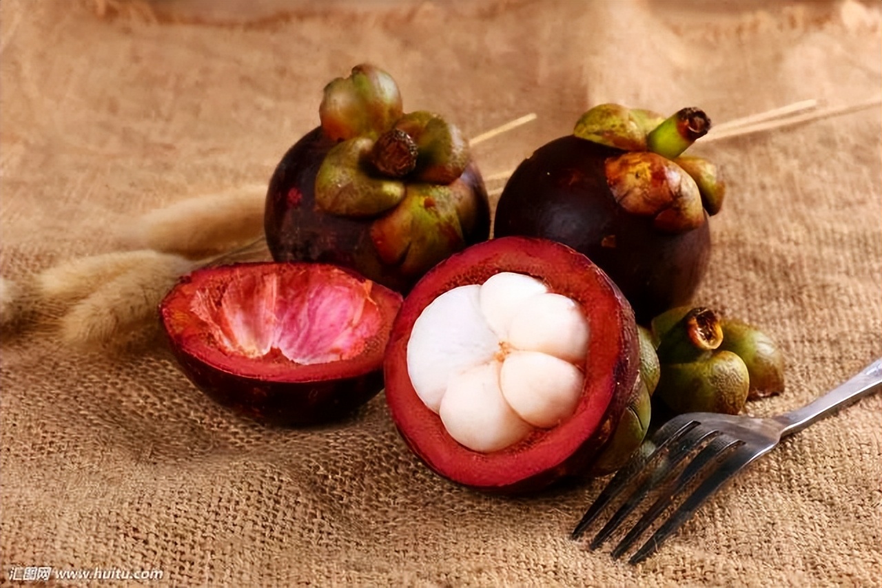 夏季宝宝食谱视频,夏季宝宝辅食食谱大放送