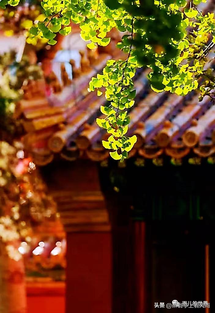 人间三千事淡然一笑间,人间三千事淡然一笑间原文