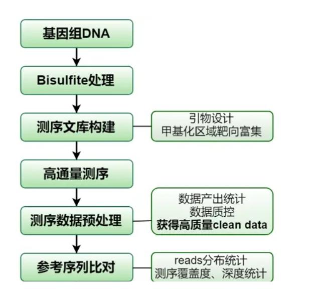 番茄果色偏黄怎么回事,番茄果实色泽评价