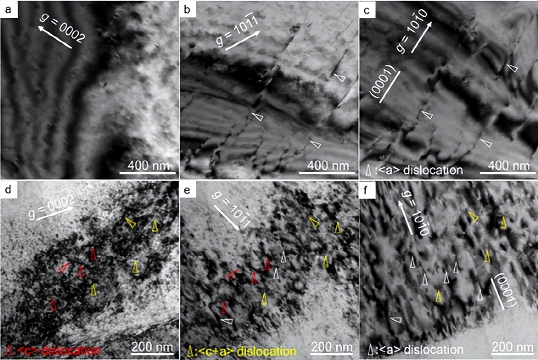 杜文博简介北京工业大学,北京工业大学杜文博教授