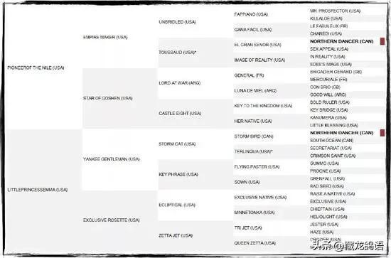 信鸽返祖遗传出一根白条,信鸽返祖现象主要表现