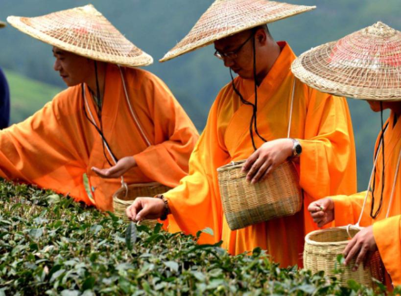 唐朝与佛教传播有关的事实,唐朝佛教的发展的影响